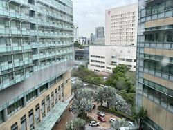 Mount Elizabeth Novena Hospital (D12), Retail #453956261
